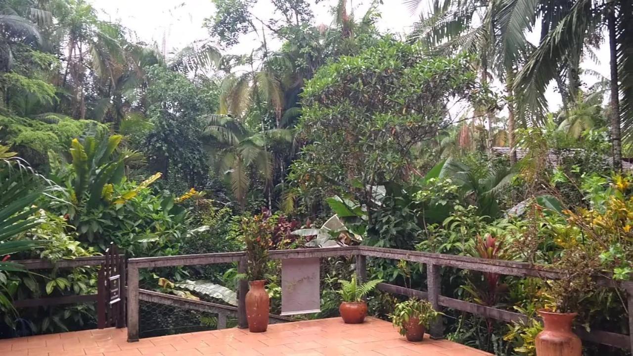 Pousada Do Oasis Morretes Kültér fotó