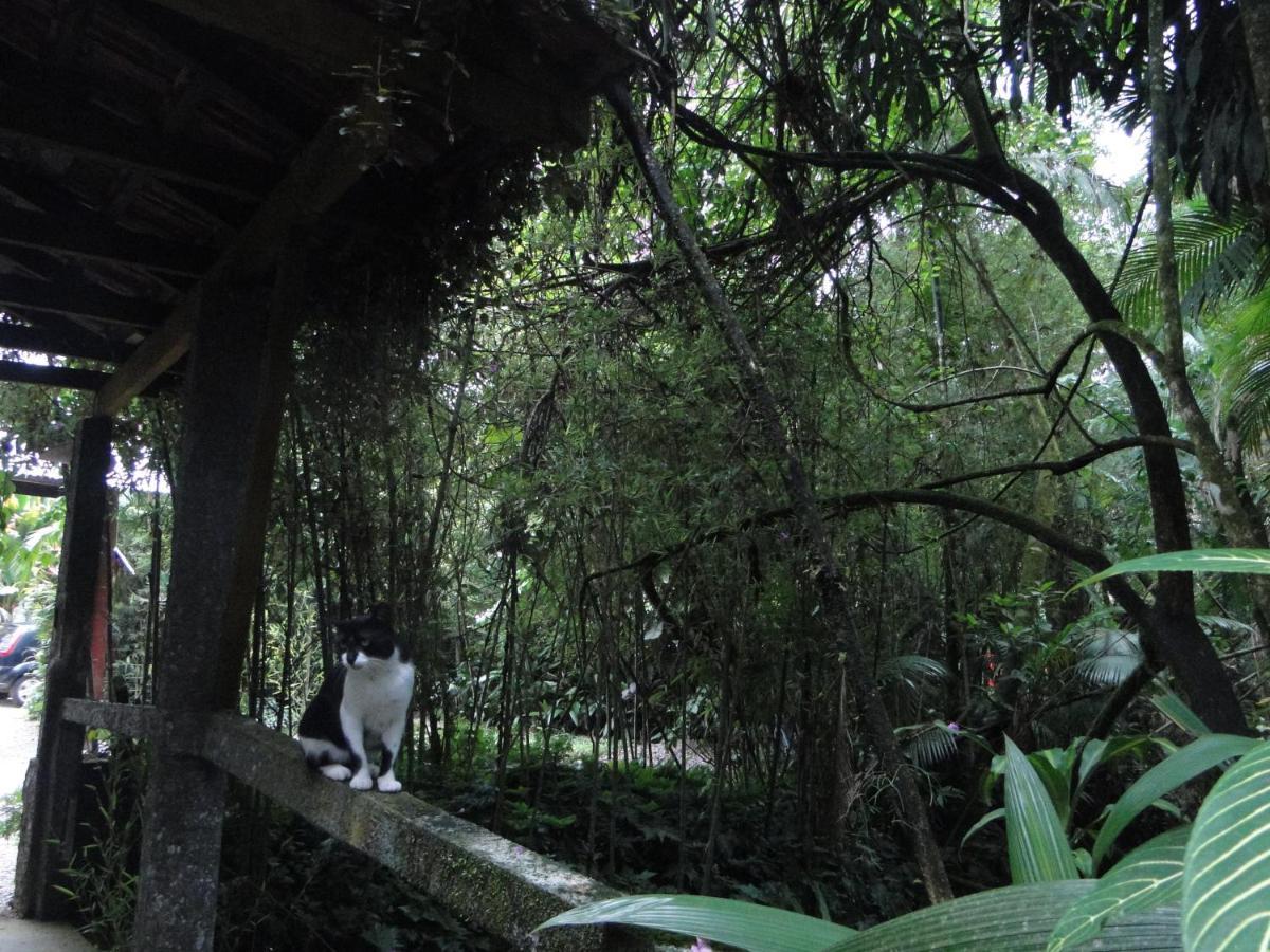 Pousada Do Oasis Morretes Kültér fotó