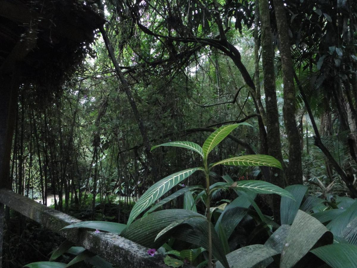 Pousada Do Oasis Morretes Kültér fotó